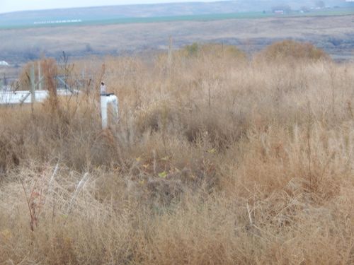 KNA Rebecca Rd, Eltopia, WA, 99330 | Card Image