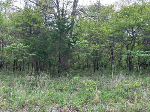 000 Falling Rock Rd, Elkland, MO, 65644 | Card Image