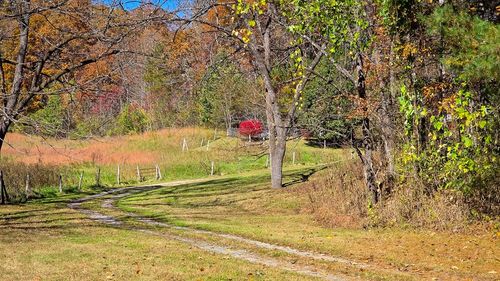 173&130 Edwards Cove Road, Bryson City, NC, 28713 | Card Image