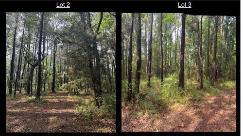 1051 Butterfly Ln, Awendaw, SC, 29429-6178 | Card Image