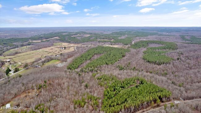 0 Morgan Co Hwy, Home with 0 bedrooms, 0 bathrooms and null parking in Sunbright TN | Image 15
