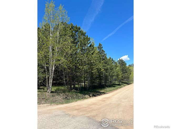 75 Overland Dr, Home with 0 bedrooms, 0 bathrooms and null parking in Ward CO | Image 5