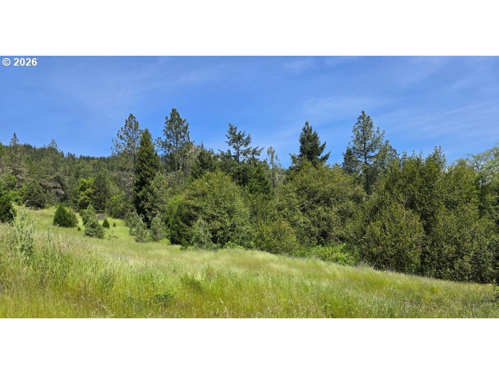 Land in MyrtleCreek 2