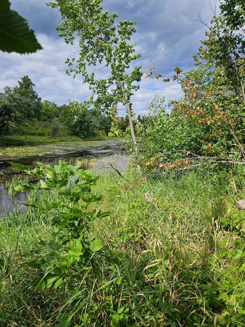 _ Birch Circle Drive Nw, Baudette, MN, 56623 | Card Image