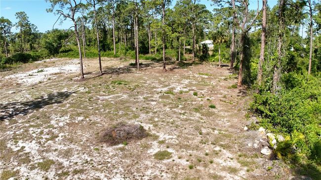 2005 Columbus Ave, Home with 0 bedrooms, 0 bathrooms and null parking in ALVA FL | Image 6