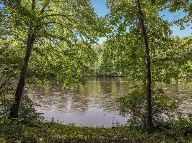 7418 Flambeau Point Rd, Home with 0 bedrooms, 0 bathrooms and null parking in LADYSMITH WI | Image 9