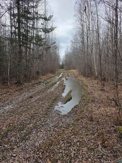 10918 Oja Rd, Hibbing, MN, 55746 | Card Image