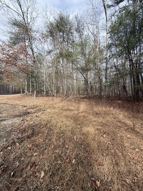 0 Westlake Dr, Monteagle, TN, 37356 | Card Image