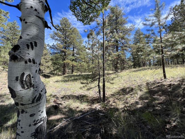 82 Kiowa Cir, Home with 0 bedrooms, 0 bathrooms and null parking in Westcliffe CO | Image 21