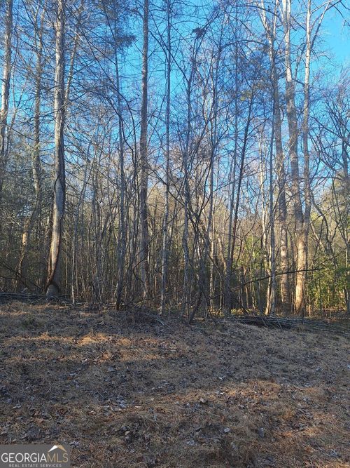 LOTS 15A 16A 17 Mill Creek Acres, Blue Ridge, GA, 30513-3094 | Card Image