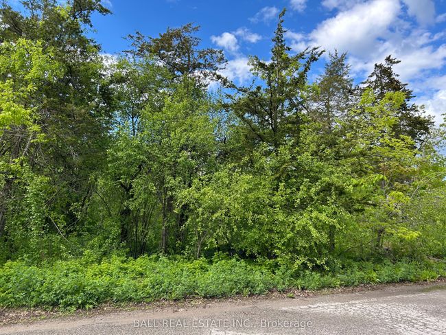 0 Snake Point Rd, Home with 0 bedrooms, 0 bathrooms and null parking in Bobcaygeon ON | Image 4