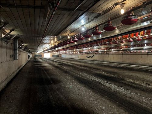 25398 Al Highway 71, Flat Rock, AL, 35966-5720 | Card Image