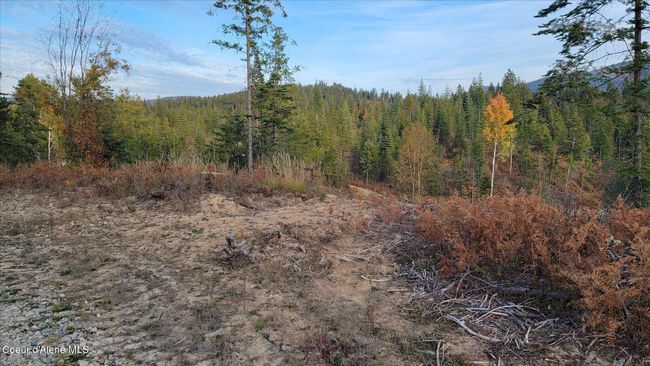 2 Pioneer Ln, Home with 0 bedrooms, 0 bathrooms and null parking in Priest River ID | Image 4