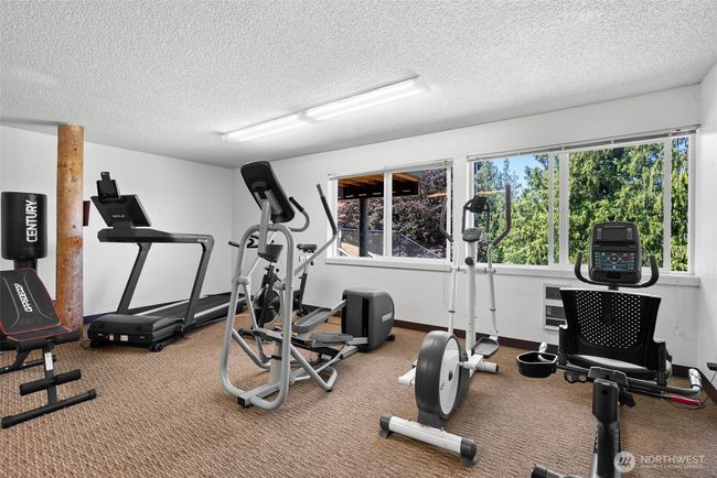 Gym with a view | Image 26