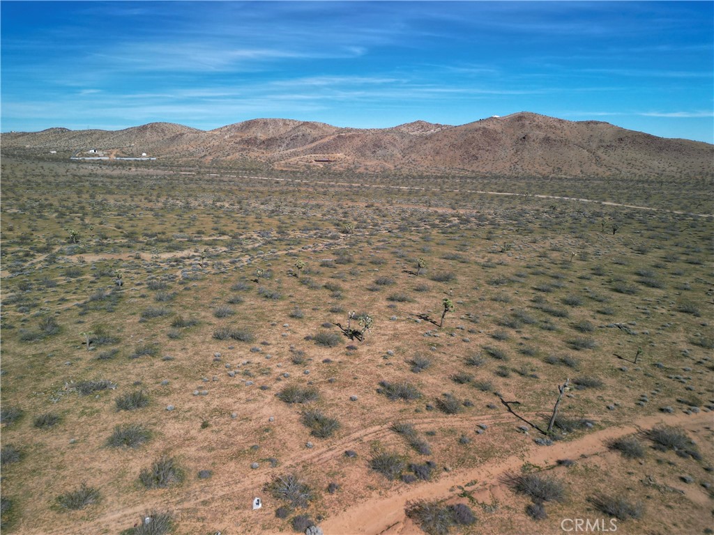 Land in Joshua Tree 5