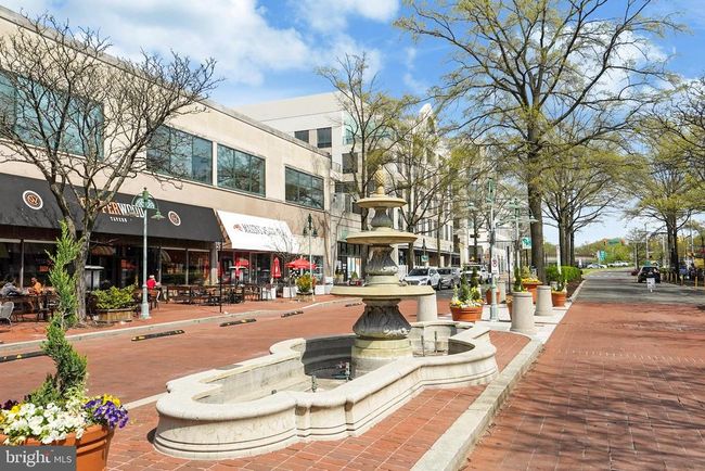 APT-526 - 4600 S Four Mile Run Dr, Condo with 1 bedrooms, 1 bathrooms and null parking in ARLINGTON VA | Image 29