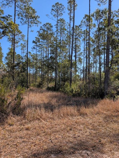 846-5B Hickory Hammock Rd, Carrabelle, FL, 32322 | Card Image