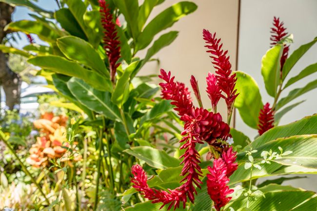 APT-213 - 2653 S Kihei Rd, Condo with 2 bedrooms, 2 bathrooms and null parking in Kihei HI | Image 32