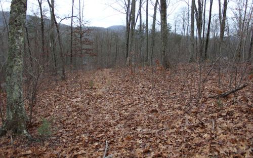 21 Thunder Rd, Hayesville, NC, 28904 | Card Image