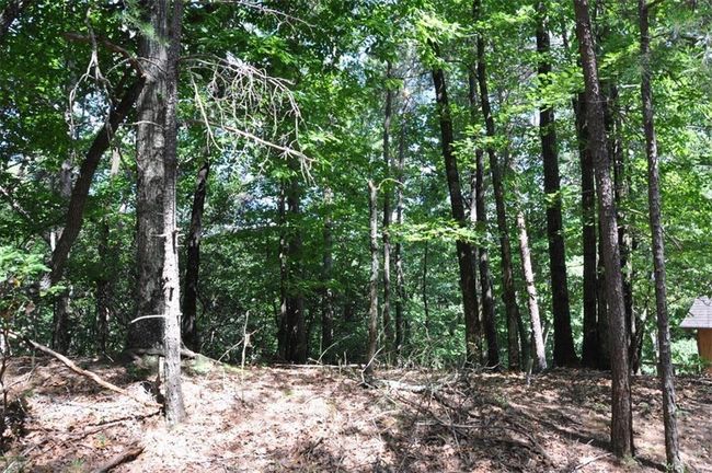 64 Wrens Nest, Home with 0 bedrooms, 0 bathrooms and null parking in Big Canoe GA | Image 8