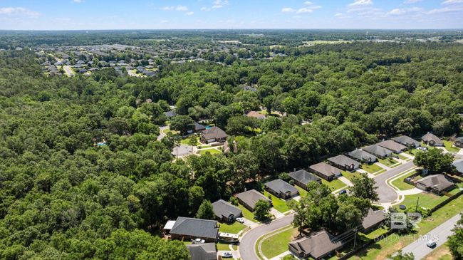 Aerial View | Image 61