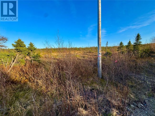 162-182 Riverside Rd E, Home with 0 bedrooms, 0 bathrooms and null parking in Glovertown NL | Image 10