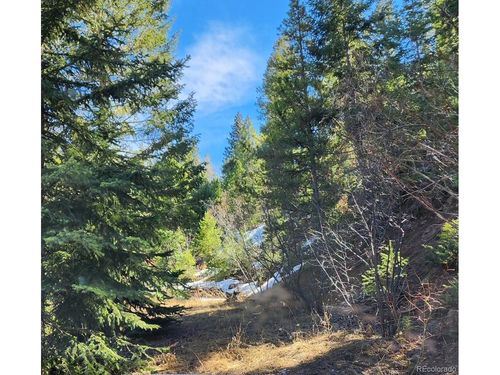 10151 Coronado Cir, Morrison, CO, 80465-2369 | Card Image