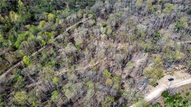 Aerial view | Image 6
