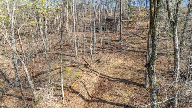 Sloped lot | Image 28