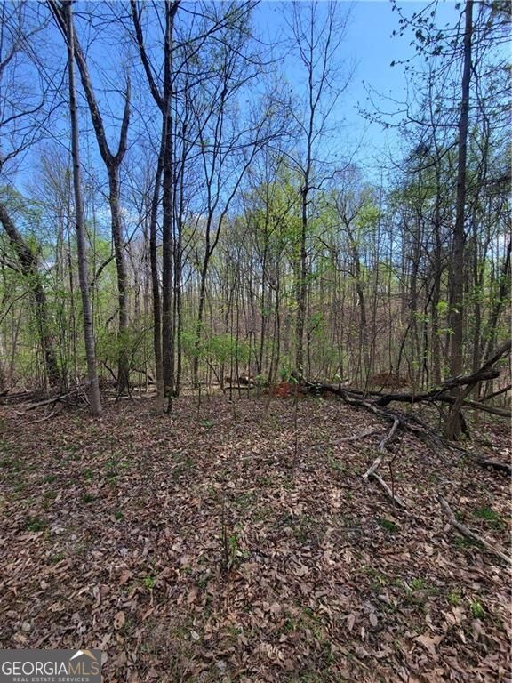 Land in Gainesville 3