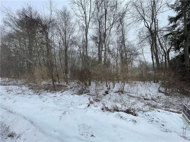 Along Lake Wilhelm Road | Image 8