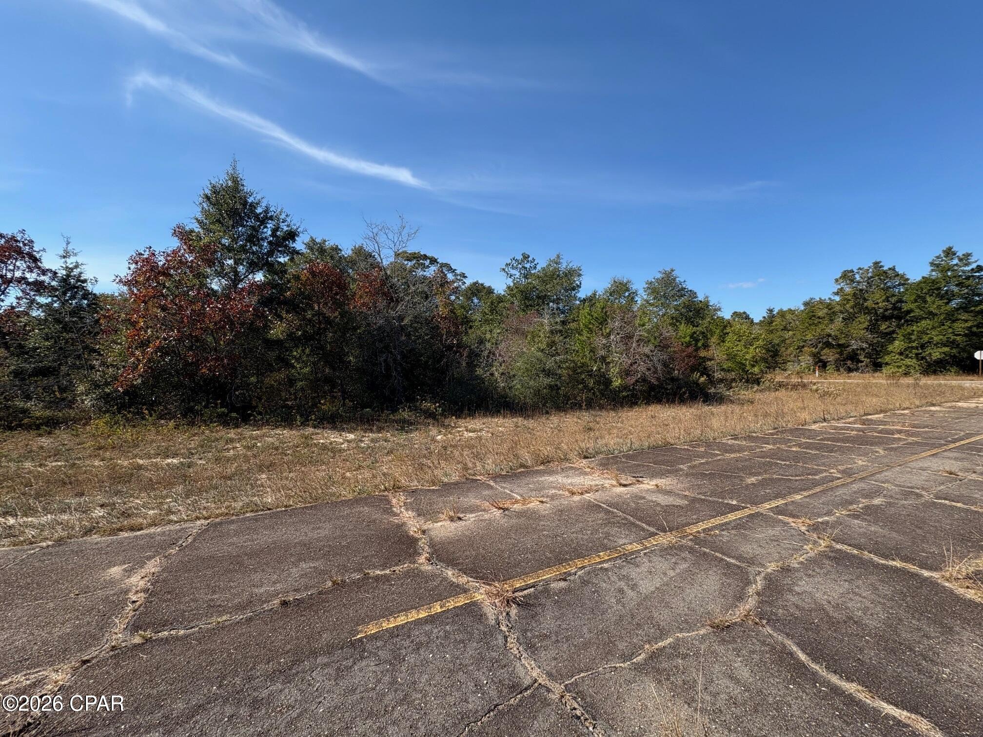 Land in Chipley 3