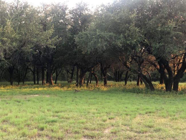 1900 Coleman Ranch Rd, House other with 3 bedrooms, 2 bathrooms and null parking in Tolar TX | Image 14