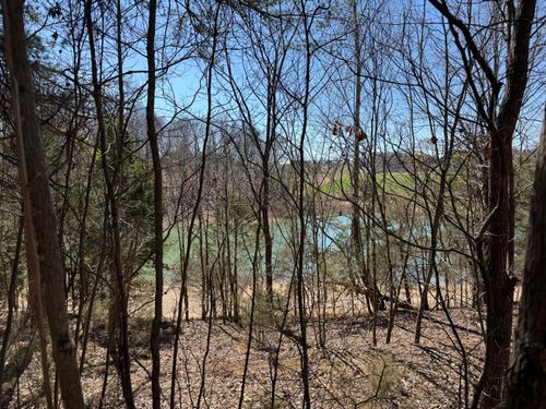 2327 Boat Dock Rd, Talbott, TN, 37877-9000 | Card Image