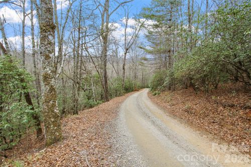 Lot 12 Patton Thicket Rd, Burnsville, NC, 28714-0559 | Card Image