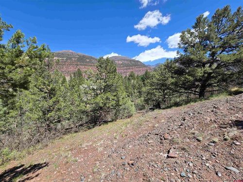 238 Pine Ridge Dr, Ridgway, CO, 81432-9475 | Card Image