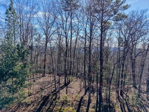 Lot 61 Thirteen Hundred, Blairsville, GA, 30512 | Card Image