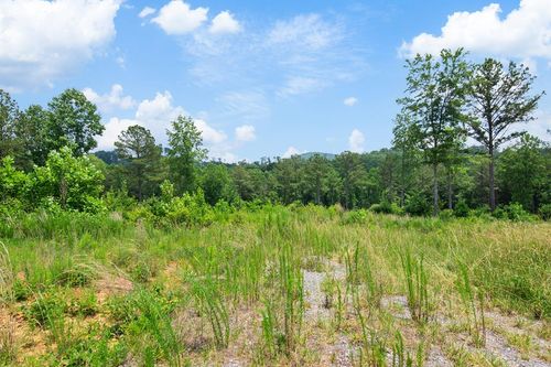 Lot 196 Oak Park Drive, Talking Rock, GA, 30175 | Card Image