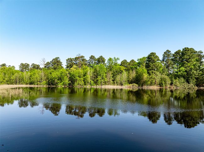 1 County Rd, Home with 0 bedrooms, 0 bathrooms and null parking in Leesburg TX | Image 5