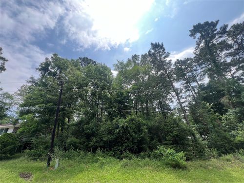 TBD Ibex S, Onalaska, TX, 77360 | Card Image