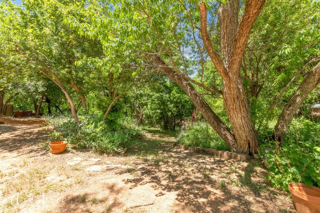Trail and stone stairs lead to the creek | Image 33