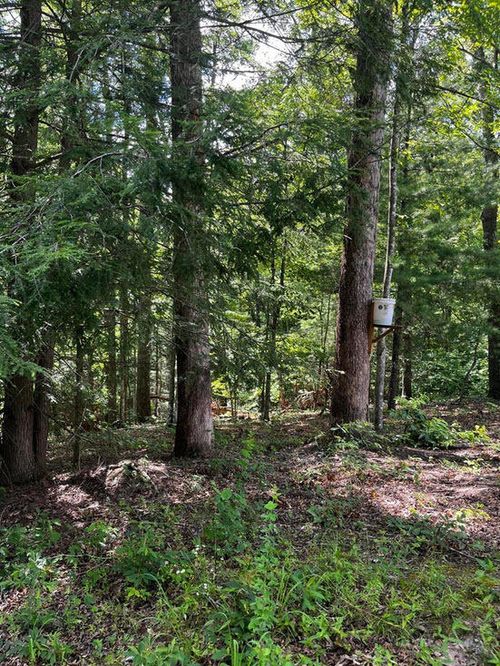 93 Sled Run Rd, Wellington, KY, 40387 | Card Image