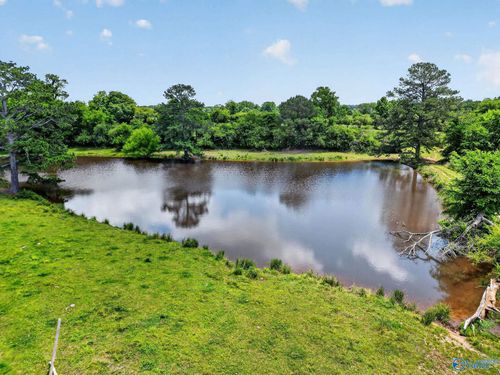 19 Acres County Highway 35, Horton, AL, 35980 | Card Image