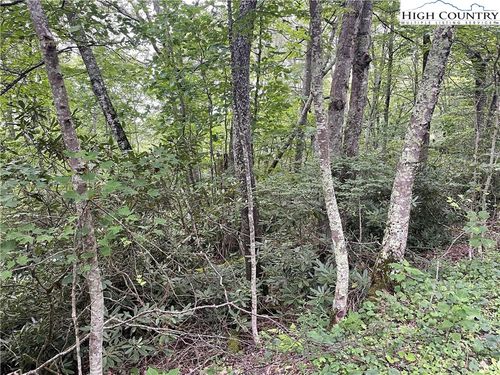 TBD Snow Ridge Rd, Banner Elk, NC, 28604 | Card Image