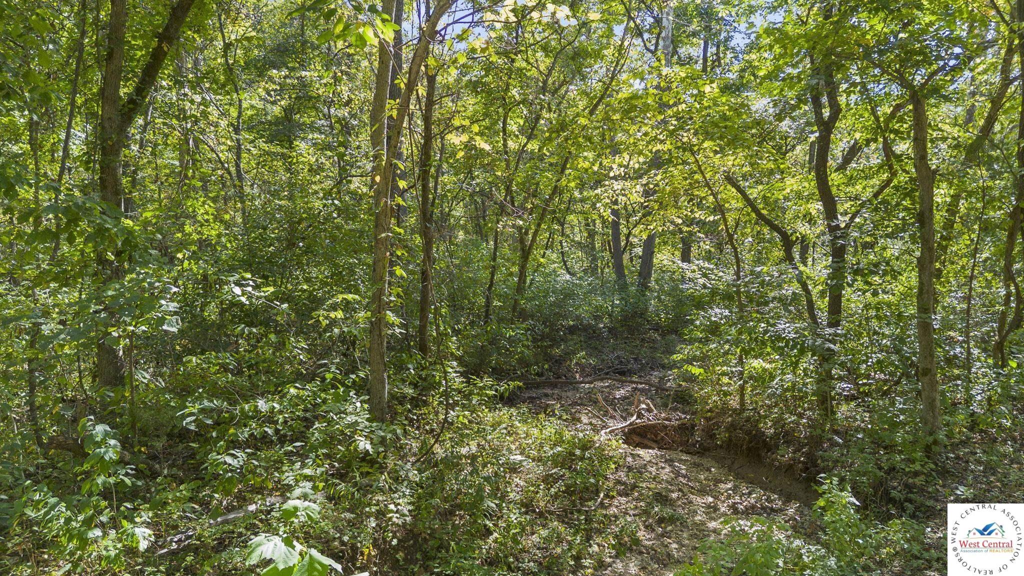 Land in Gravois Mills 4