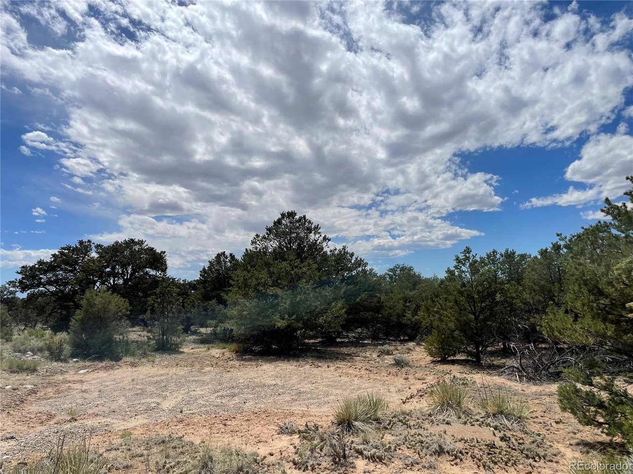 Land in Crestone 2