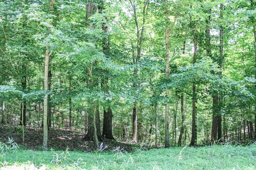 0 Algonquin Rd, Eddyville, KY, 42038 | Card Image