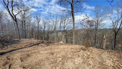 24 Farm Road 1250, Golden, MO, 65658-8297 | Card Image