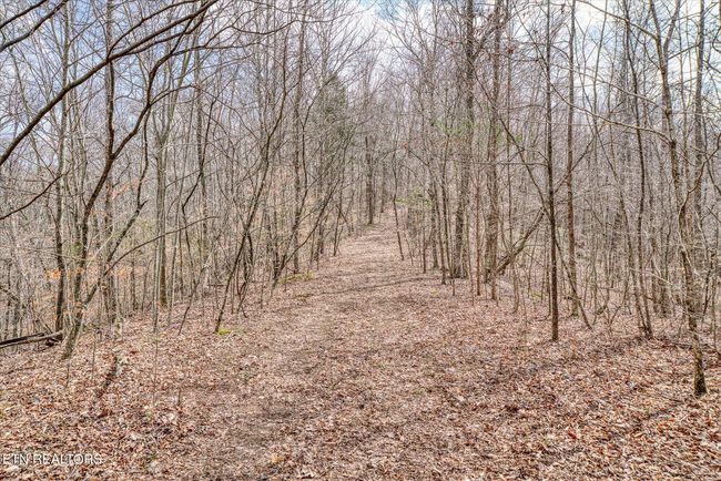 649 Garrett Town Ln, Home with 0 bedrooms, 0 bathrooms and null parking in Monroe TN | Image 11