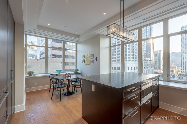 15AA - 118 E Erie St, Condo with 2 bedrooms, 3 bathrooms and 1 parking in Chicago IL | Image 16